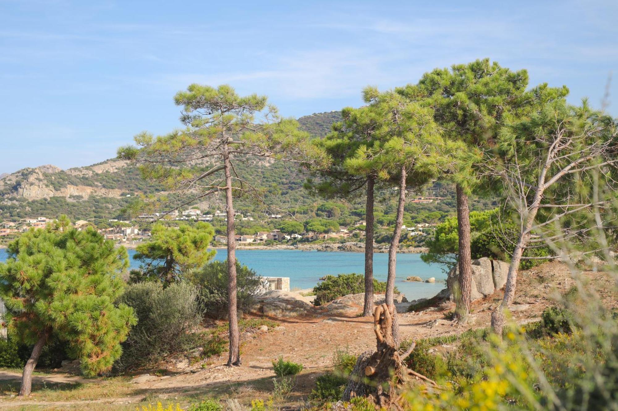 Appartement La Balagne , Bord De Mer, Grande Terrasse, Sant'Ambroggio Лумйо Екстер'єр фото
